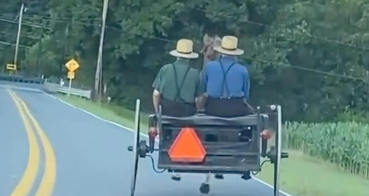 Sortie de route mouvementée pour cette calèche et ses passagers