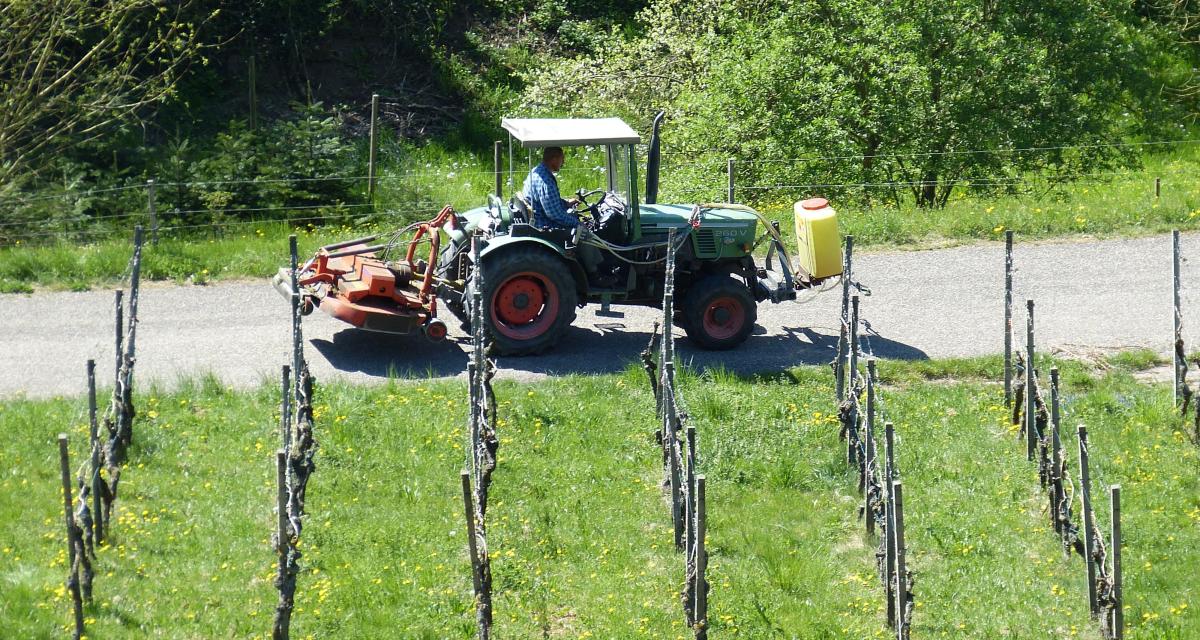 Les tracteurs gâchent la vue de ce propriétaire de gîte, il réclame 100 000¬ au viticulteur
