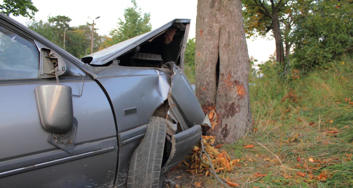 Tempête Louis : un arbre s'abat sur la voiture d'un couple, ils s'en sortent miraculeusement !