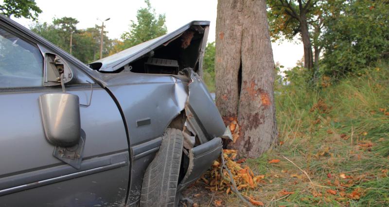  - Tempête Louis : un arbre s’abat sur la voiture d’un couple, ils s’en sortent miraculeusement !