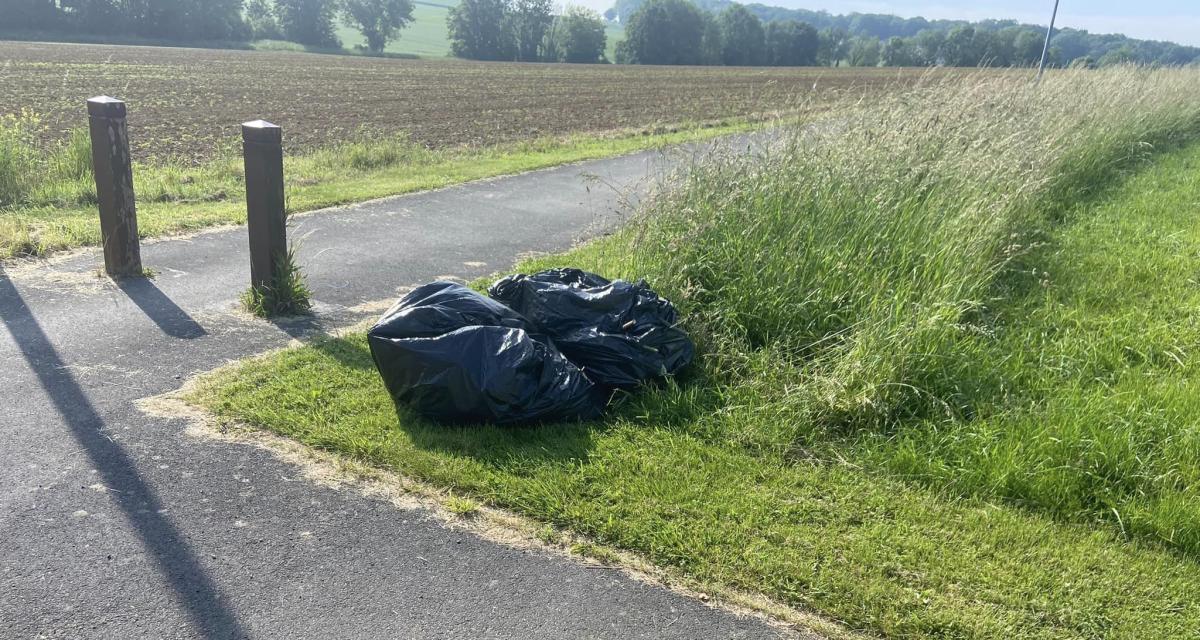 Cet automobiliste jette ses sacs de déchets dans la nature, il risque de perdre sa voiture s'il ne les récupère pas rapidement