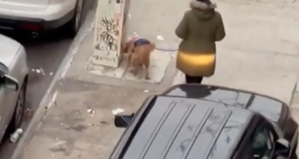 VIDEO - Ce danger public roule sur le trottoir, il met même clairement en danger une piétonne...