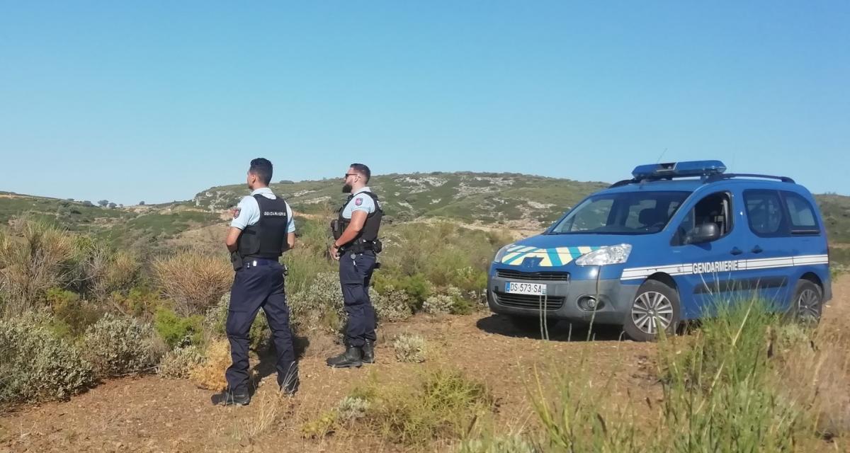 Sur l'A9, cinq conducteurs perdent le permis dont un pour une vitesse de 196 km/h