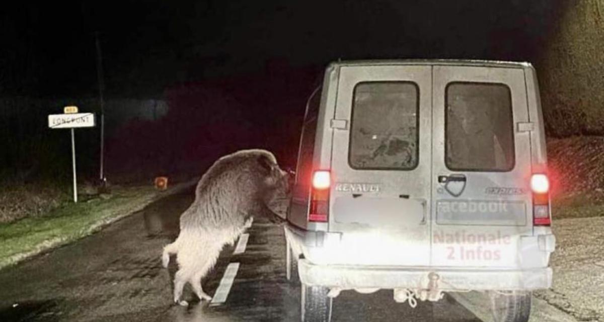 Il filme une découverte originale et sa voiture finit dans un arbre