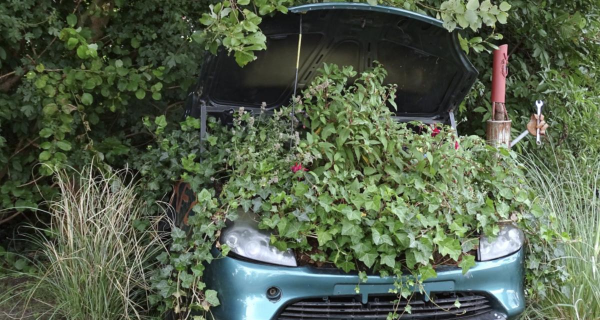 Ivre, il atterrit dans un jardin après une chute de cinq mètres en voiture