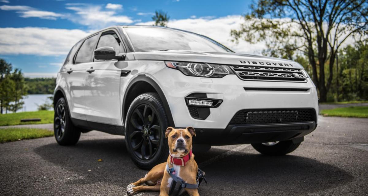 Déterminée, elle retrouve l'escroc qui a acheté sa voiture avec un chèque sans provision... Il finit en garde à vue