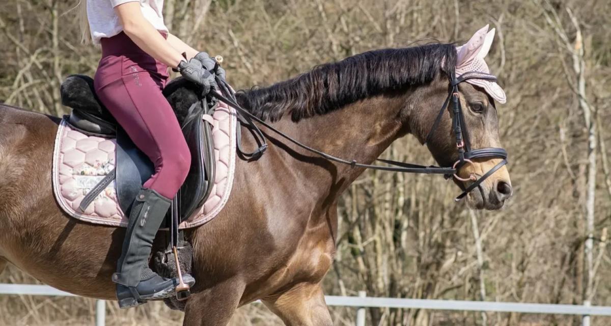 Trompée par son GPS, elle se retrouve à cheval sur une voie rapide