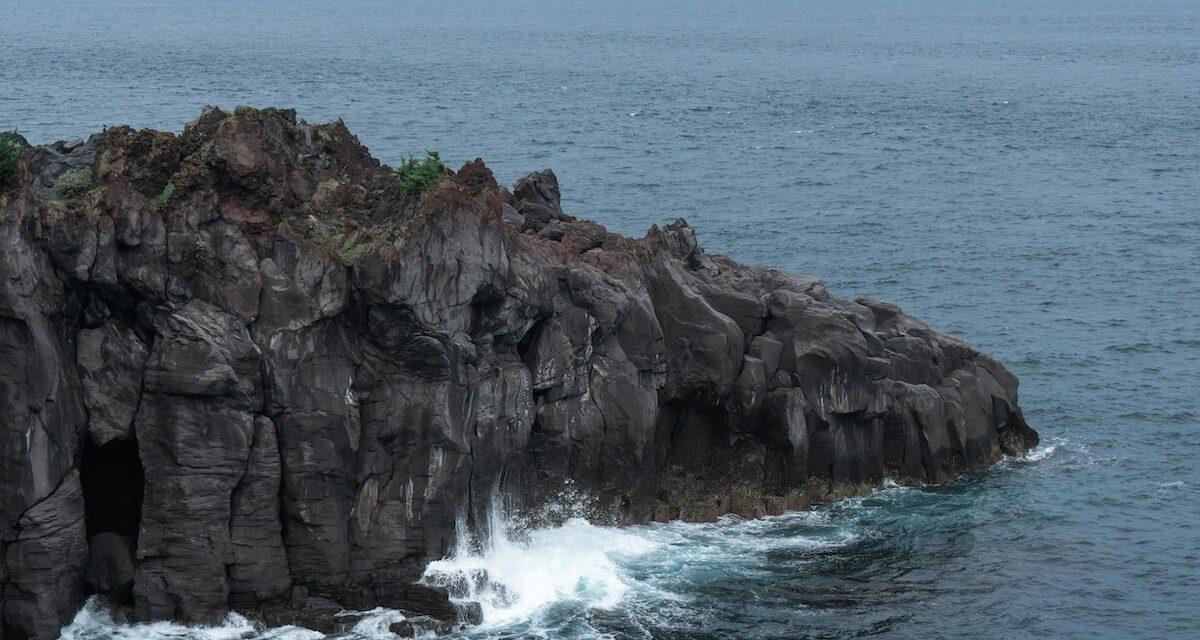 À 87 ans, elle rate sa marche arrière... et chute dans la mer