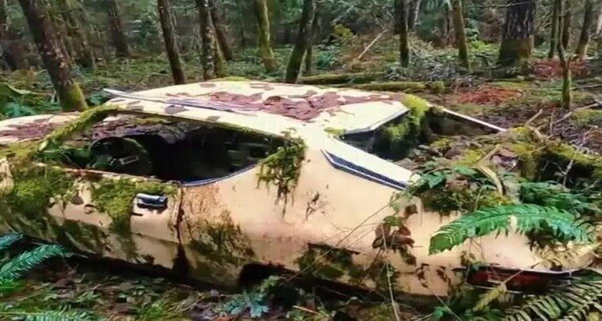 Un motard tombe sur une voiture de sport engloutie en pleine forêt : ce qu'il découvre est hallucinant