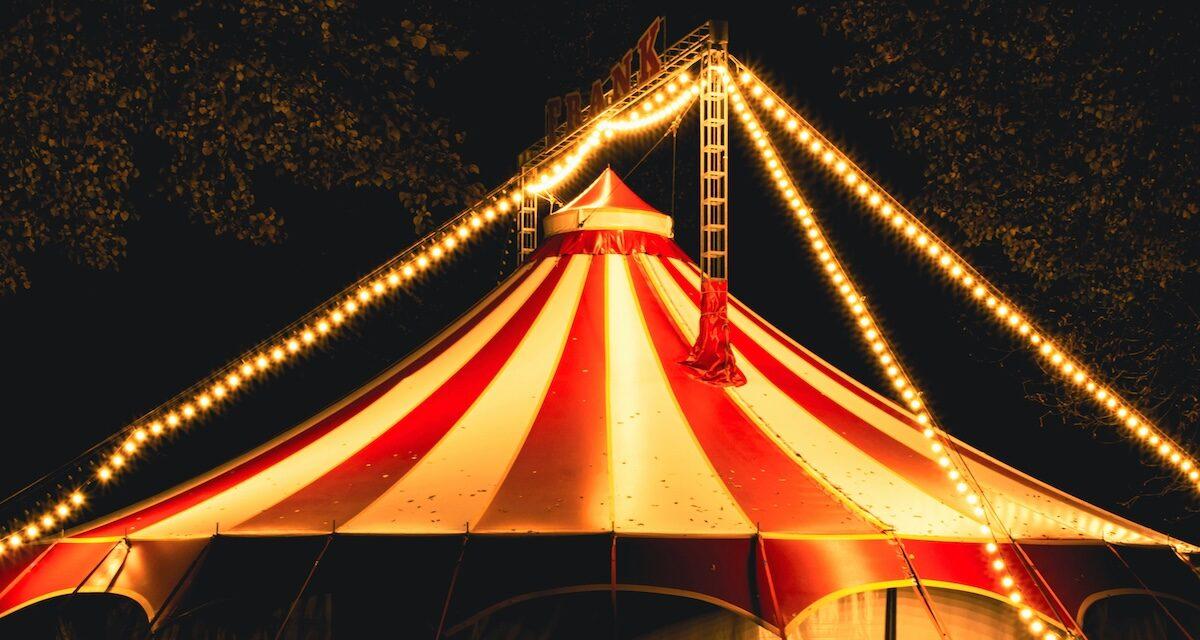 Un enfant de 2 ans abandonné dans une voiture pendant que ses parents profitent du cirque