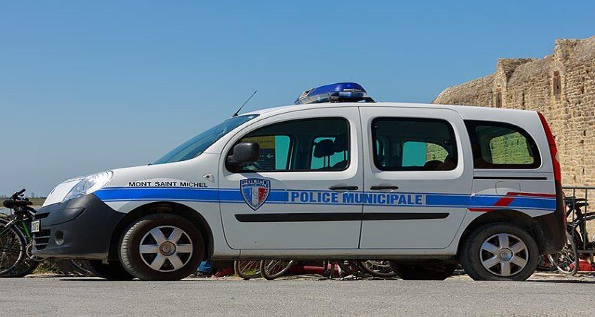 Repérés près d'une prison, ils transportaient... deux sangliers morts dans le coffre