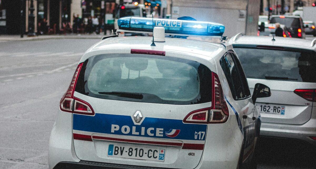 « Je voulais juste retrouver mes chats » : il fonce à 129 km/h, et termine au tribunal