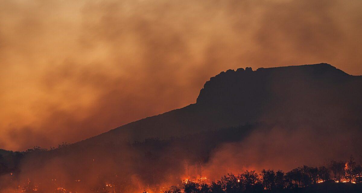 Forêt et oliviers détruits : il descend de sa voiture pour mettre le feu, un pyromane est piégé et risque 15 ans de prison