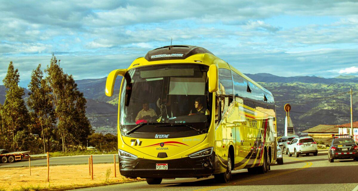 Ils transforment la soute à bagages en sièges VIP : le luxe improbable en bus !