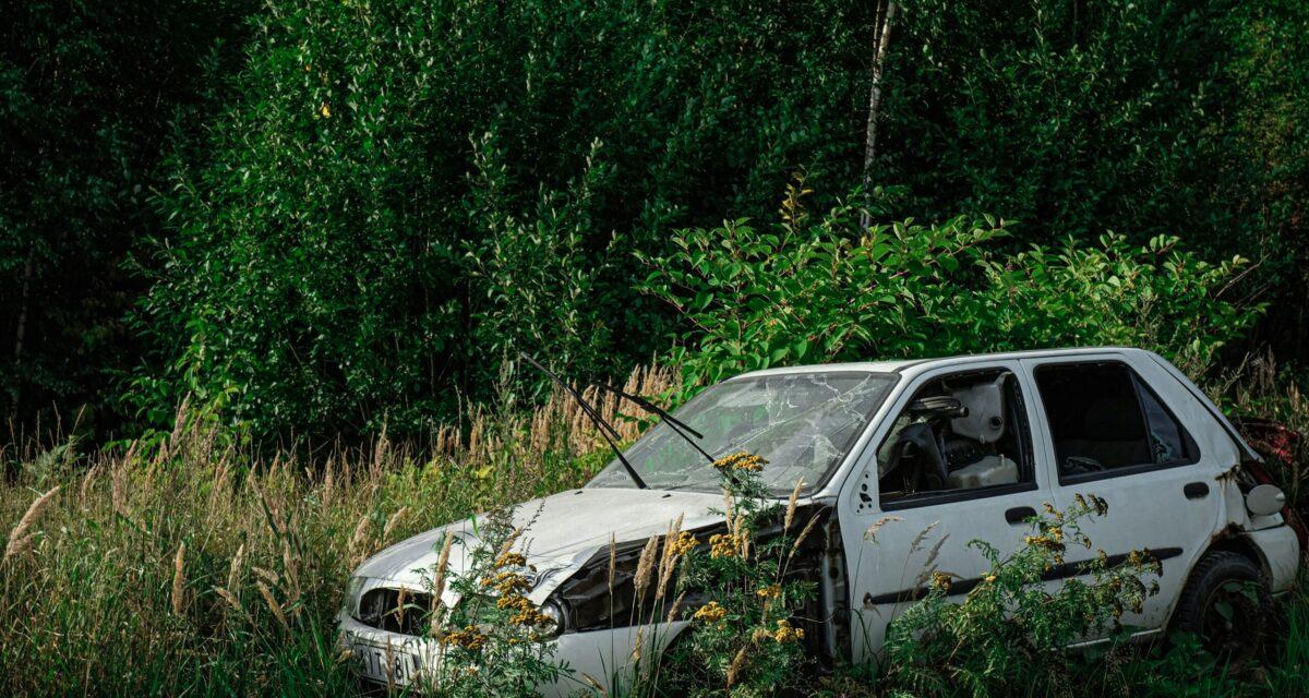 Il tente d'échapper aux gendarmes, sa voiture finit dans les buissons !