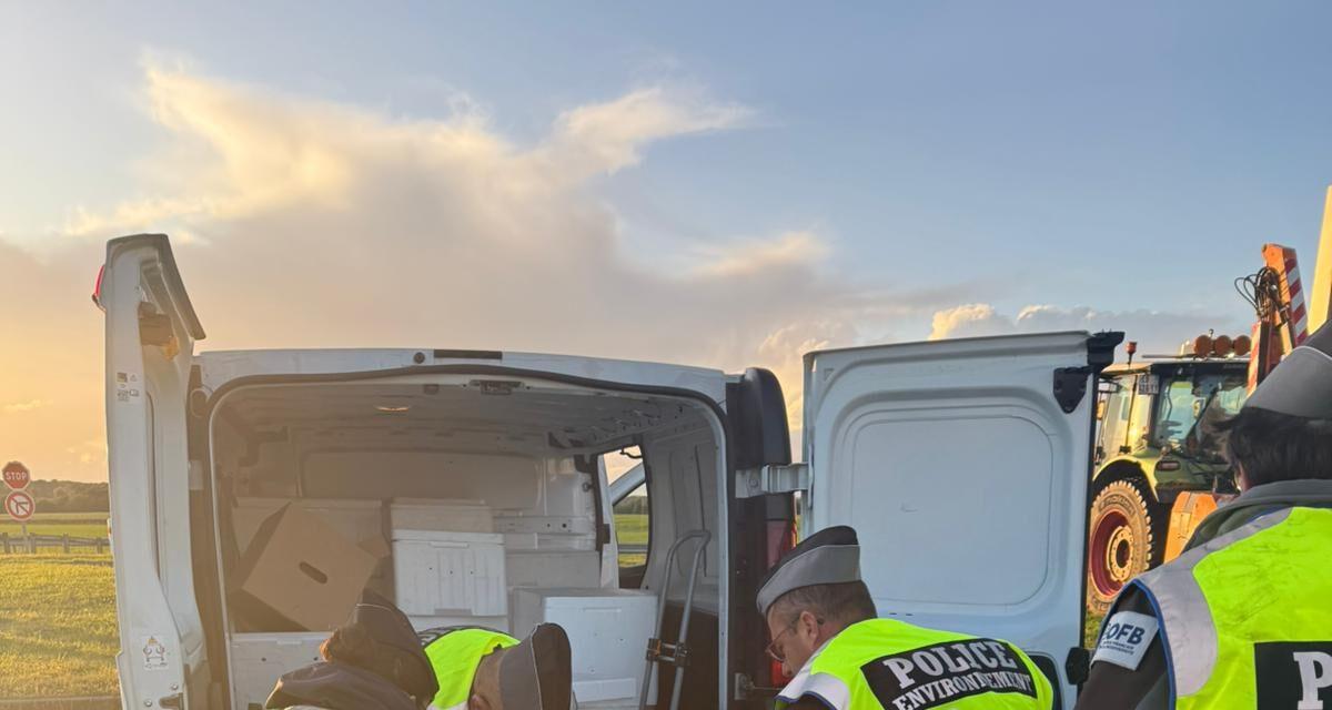 Contrôle au péage : ce que les gendarmes ont découvert dans plusieurs coffres de voitures va vous surprendre