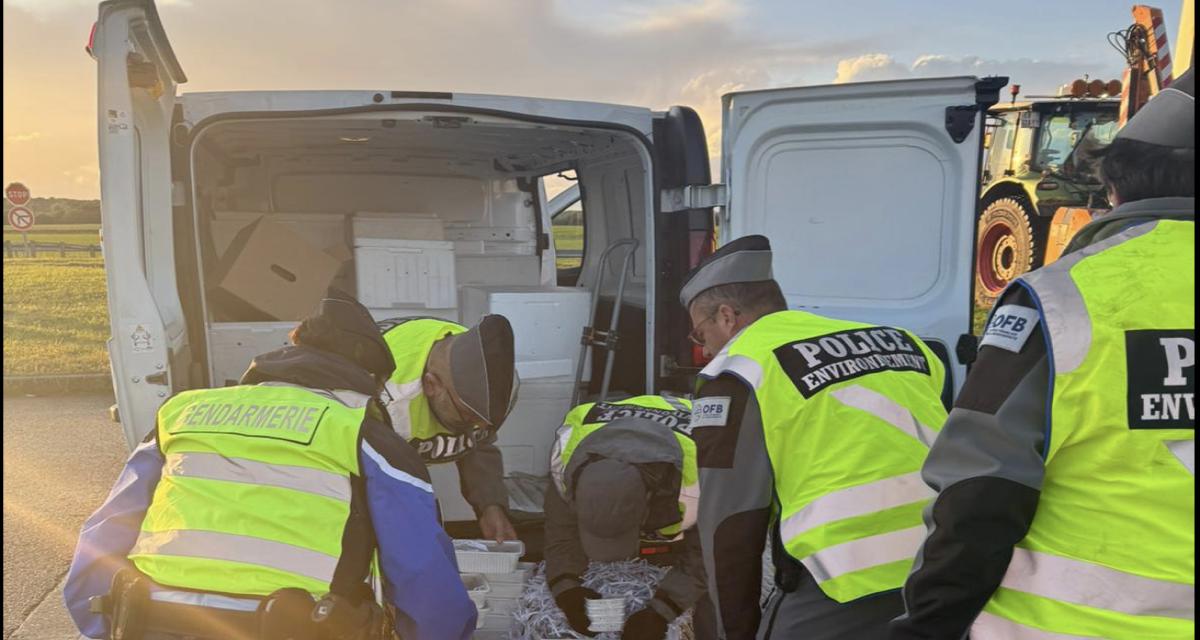 Il tombe par hasard sur sa voiture volée et décide de courser les voleurs à vélo