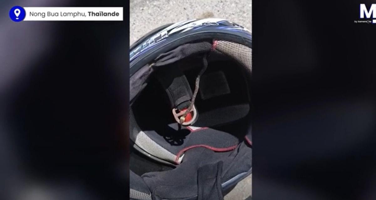 Un motard découvre un serpent dans son casque après 3 heures de route !
