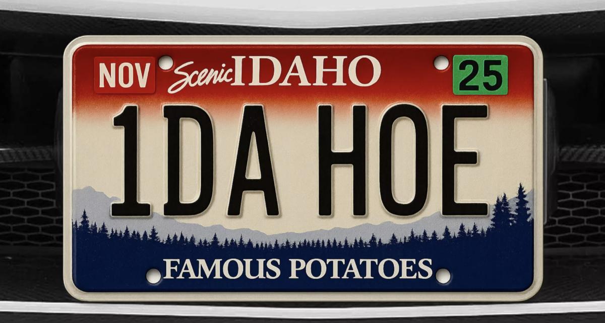 Plus de 600 plaques d'immatriculation personnalisées refusées pour « mauvais goût »