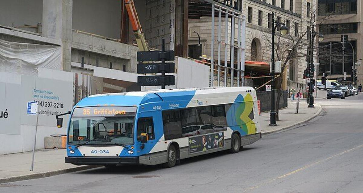 Il vole un bus bondé... et fait payer tous les passagers comme un vrai chauffeur