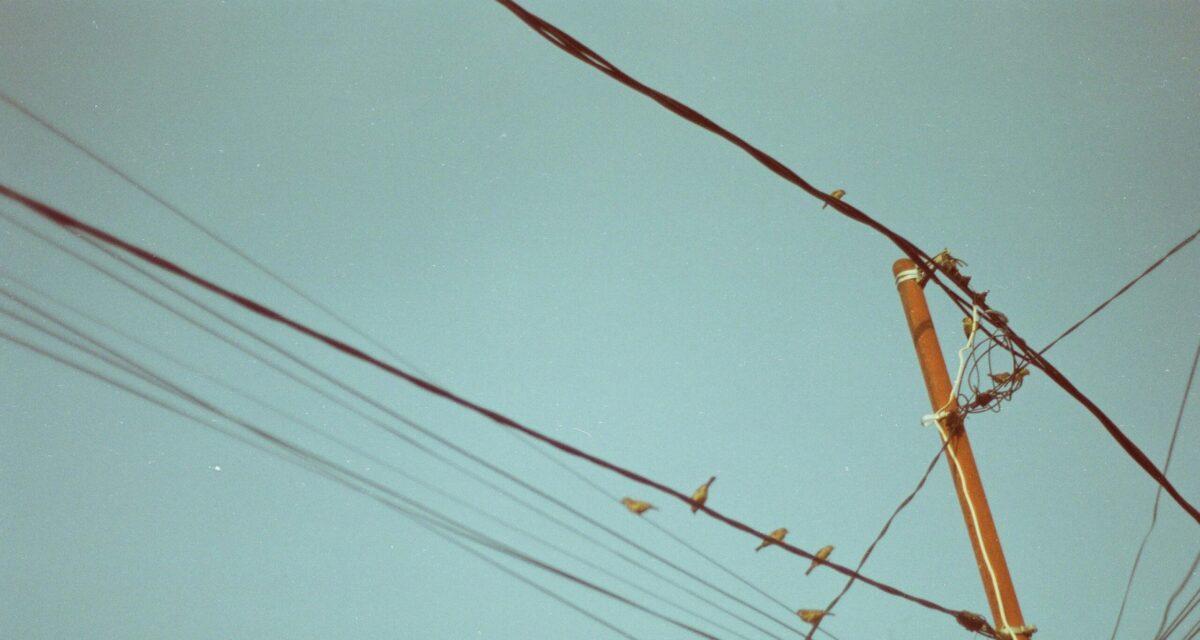 Un conducteur perd le contrôle et percute un poteau électrique : la route coupée et des dizaines de foyers plongés dans le noir