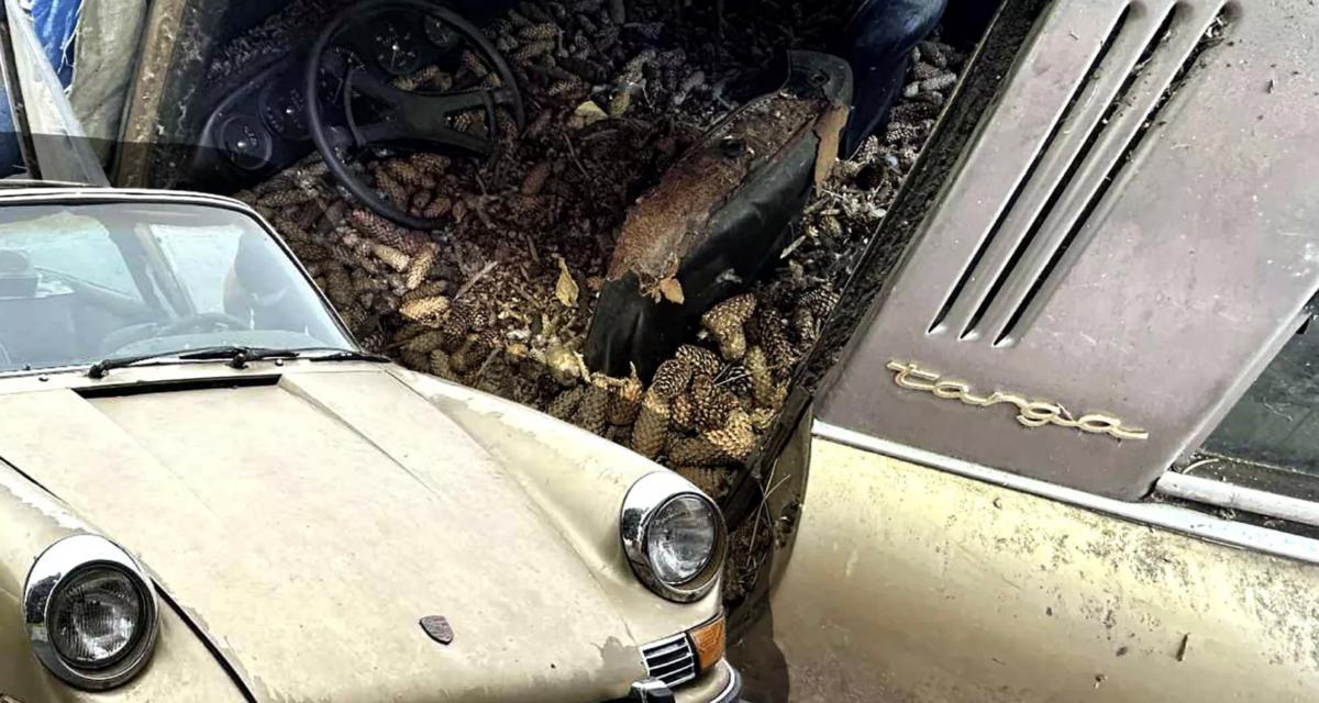 Une Porsche 911 Targa oubliée sous les pommes de pin pendant 31 ans sauvée