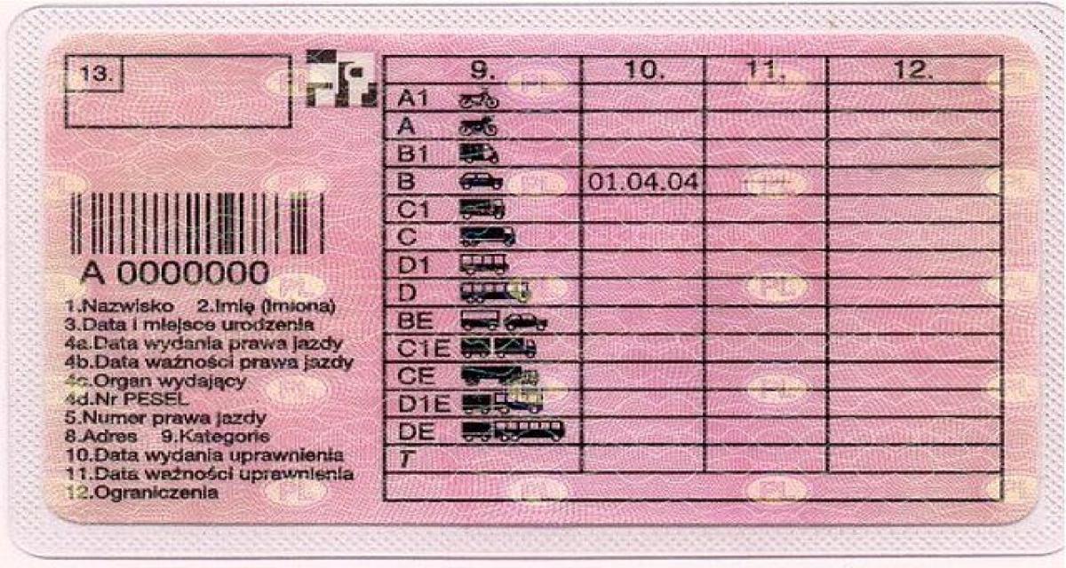 Pris en flagrant délit, il croit échapper à la police avec deux faux permis de deux pays différents... mais son plan tourne au fiasco