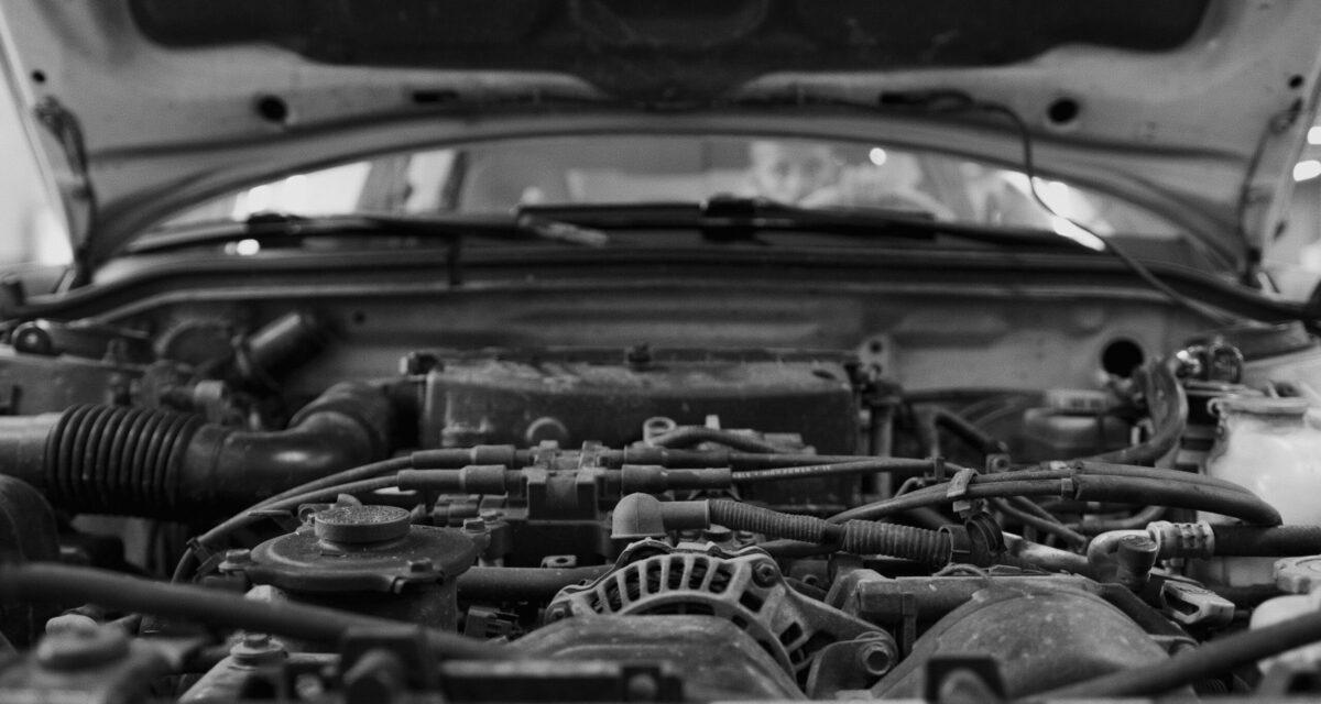 Des rats attaquent sa voiture en pleine nuit : la facture explose à plus de 5 000 ¬ et l'assurance refuse de payer