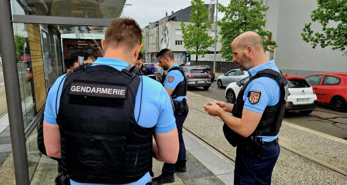 Jeune permis, positif au cannabis : il fonce à 151 km/h sur une route limitée à 80, les gendarmes sous le choc