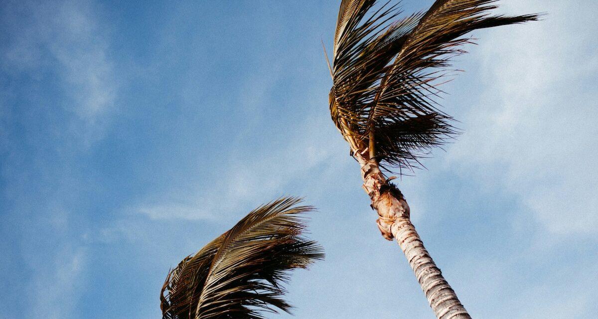 « Ma voiture dormira dans ma chambre » : en Algérie, des rafales jusqu'à 120 km/h poussent les automobilistes à redoubler d'ingéniosité