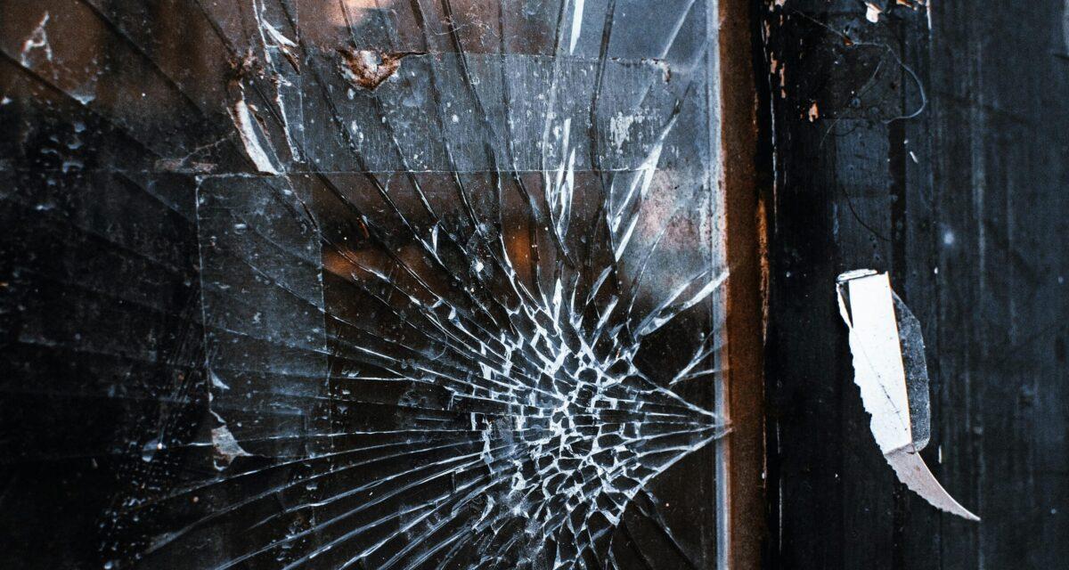 Elle roulait tranquillement... jusqu'à ce qu'une vache s'écrase sur son pare-brise : l'éleveur rejette toute responsabilité