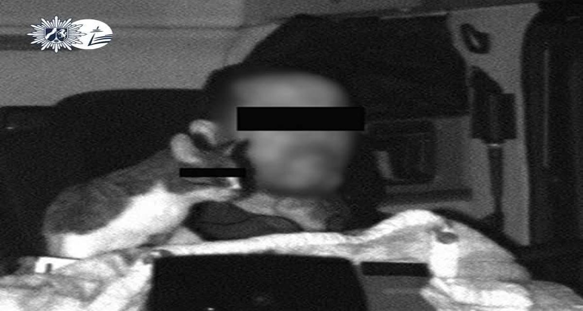 Trop mignon... mais interdit : un chauffeur flashé avec son chat sur le tableau de bord déclenche une amende surprise