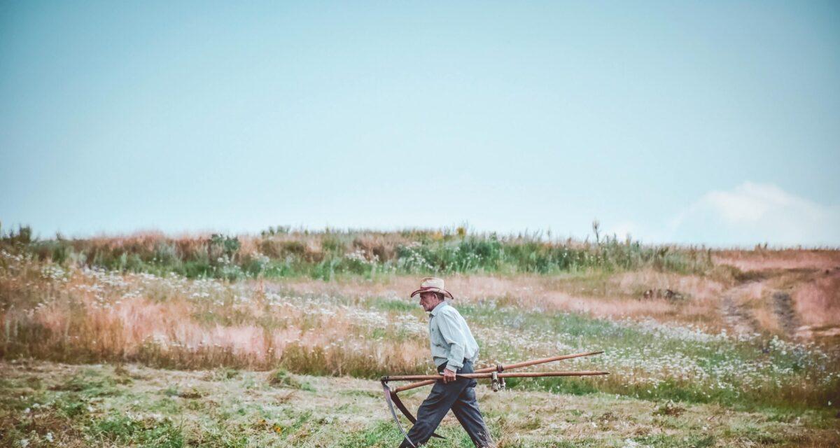 Au volant d'un minibus, il perd le contrôle et fonce dans un champ où il percute un agriculteur qui y travaillait