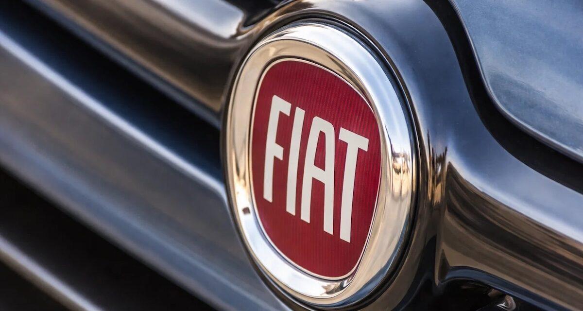 Grizzly et Koala : après la Panda, le pari "fun" de Fiat avec des noms... animaliers inédits !