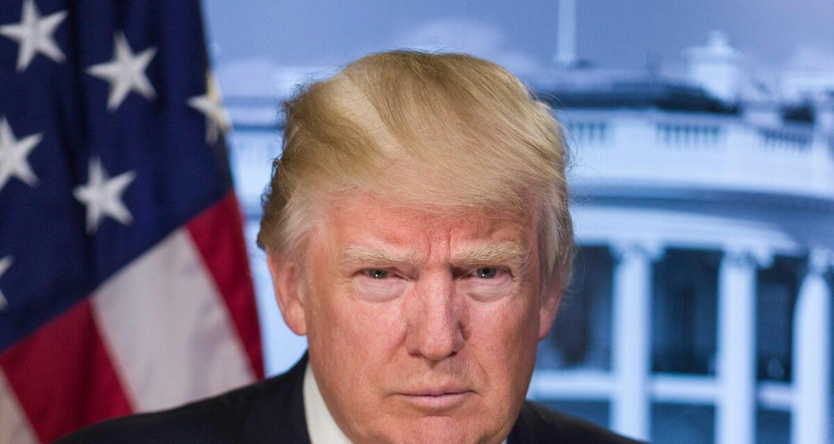 Automobile : la menace de Donald Trump de surtaxer les voitures européennes pourrait faire pschitt !