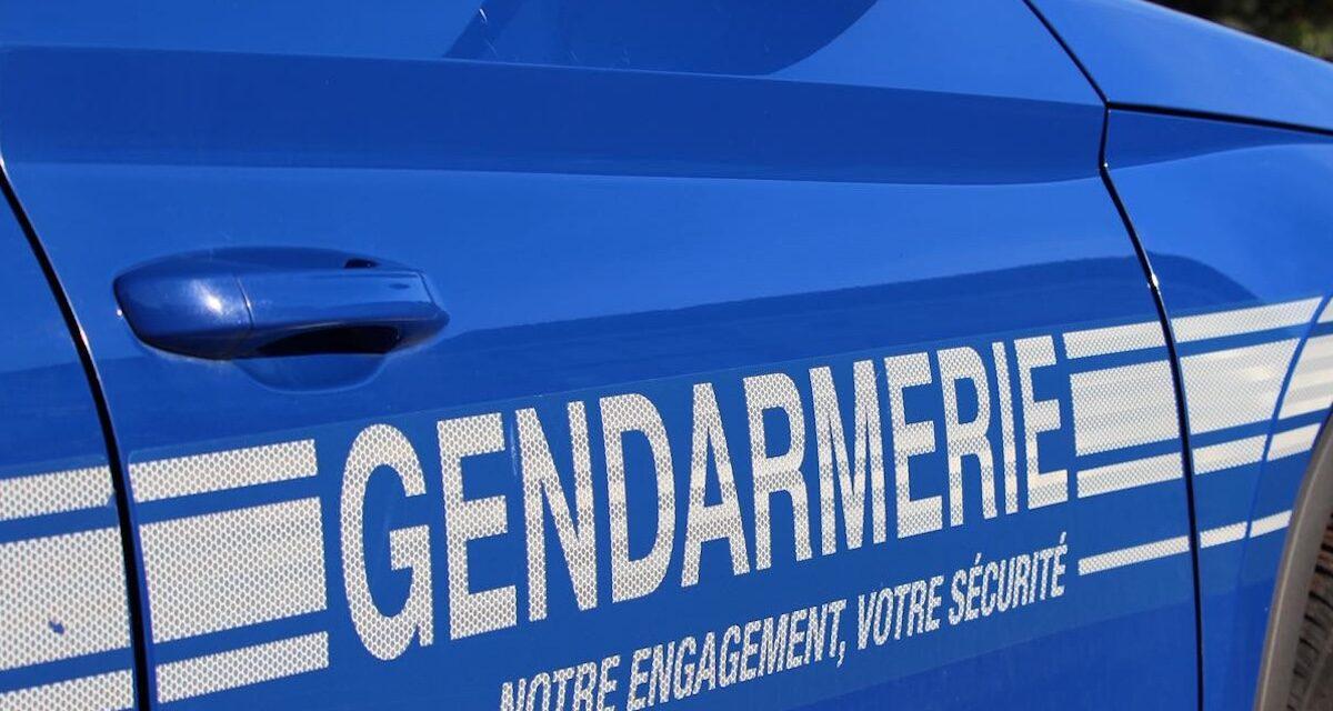 À 185 km/h sur une départementale, il donne une excuse qui laisse les gendarmes sans voix : "Il n'y avait personne sur la route"