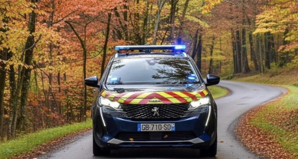 Il fuit les gendarmes sur plus de 100 km avec un hélicoptère au-dessus de la tête avant de terminer sa course dans un champ