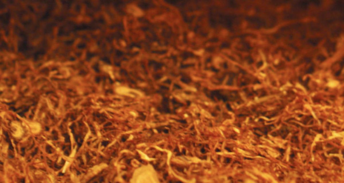Il tente de dissimuler 242 paquets de tabac dans sa voiture : contrôle routier et lourde amende à la clé