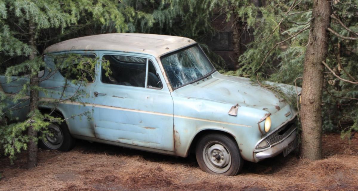 « Je l'ai vue voler devant ma fenêtre » : une voiture termine sa course dans un jardin