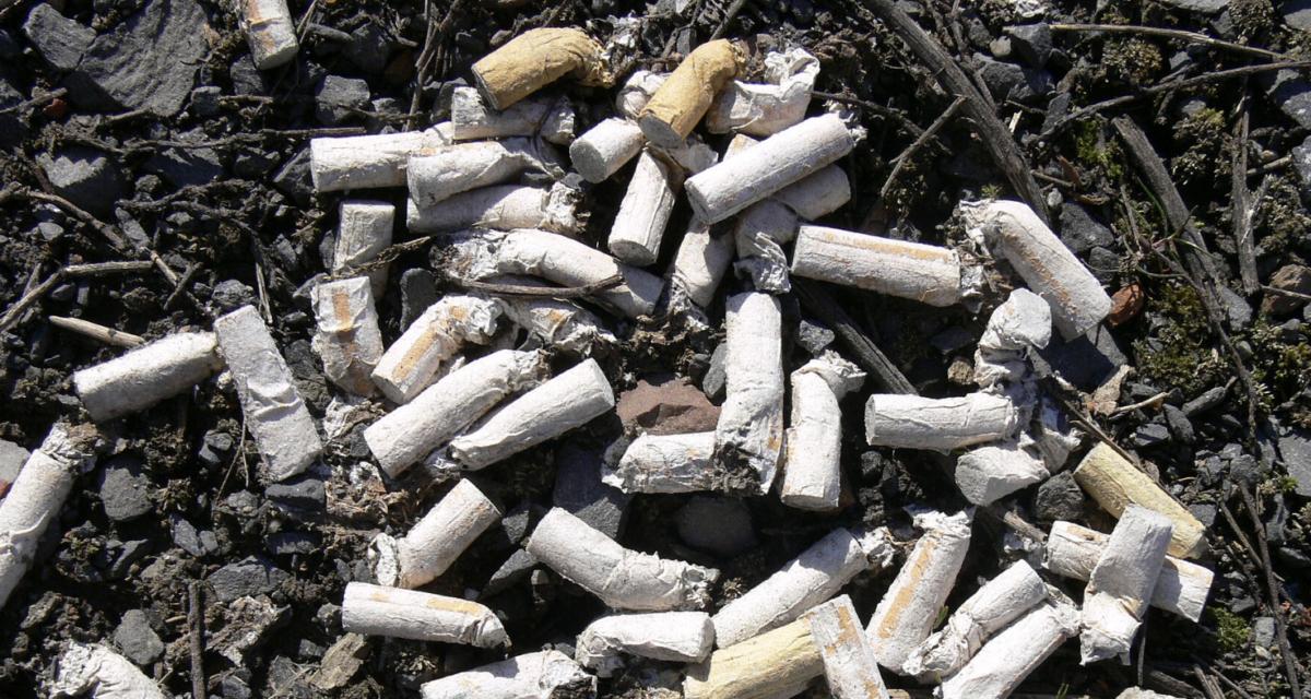 Jets de mégots et incendies : la colère monte contre les automobilistes inciviques