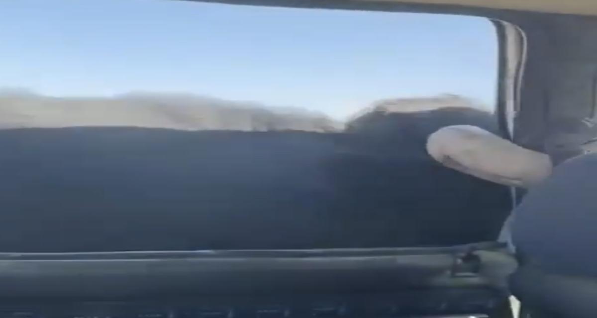 Ils suivent un taureau en voiture : l'animal charge le véhicule et s'accroche à une vitre