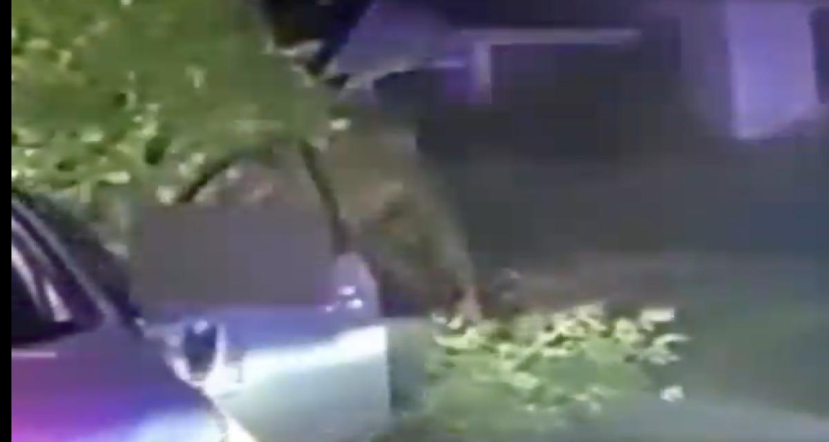 Après avoir échappé à la police, il vole une voiture de patrouille et percute une maison