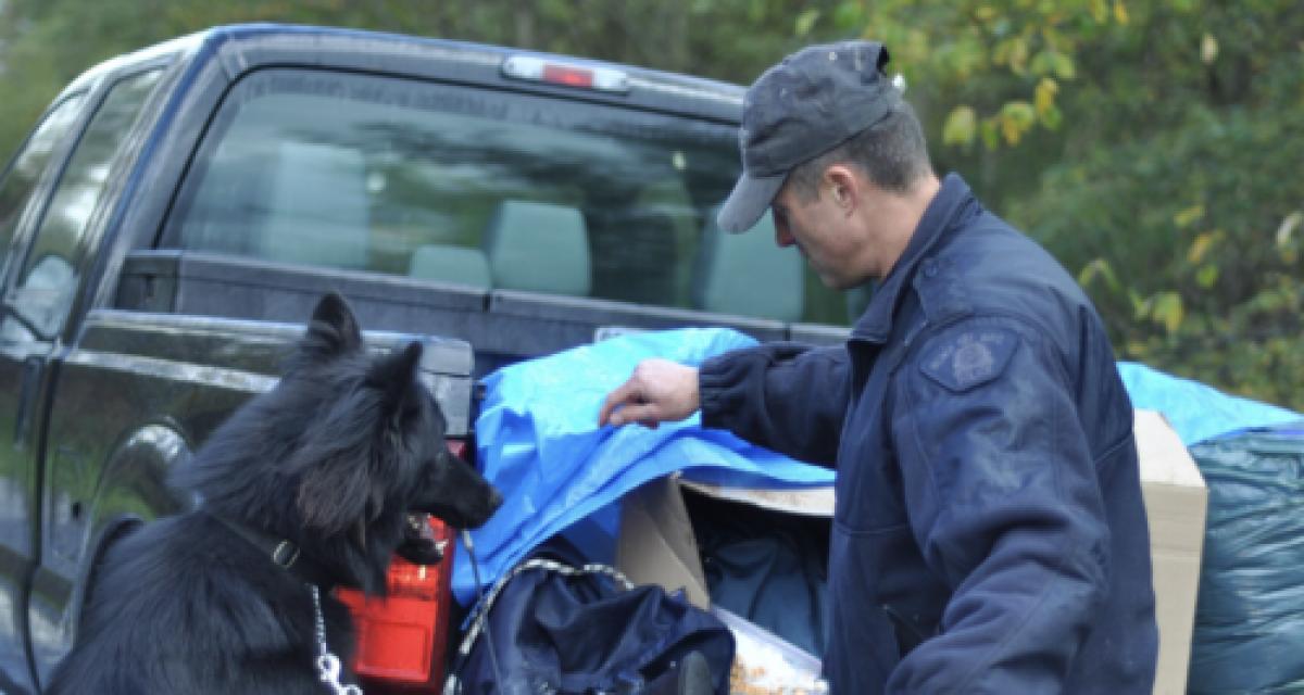 Un chien renifleur met la patte sur plus d'un million d'euros de cocaïne cachée dans une voiture