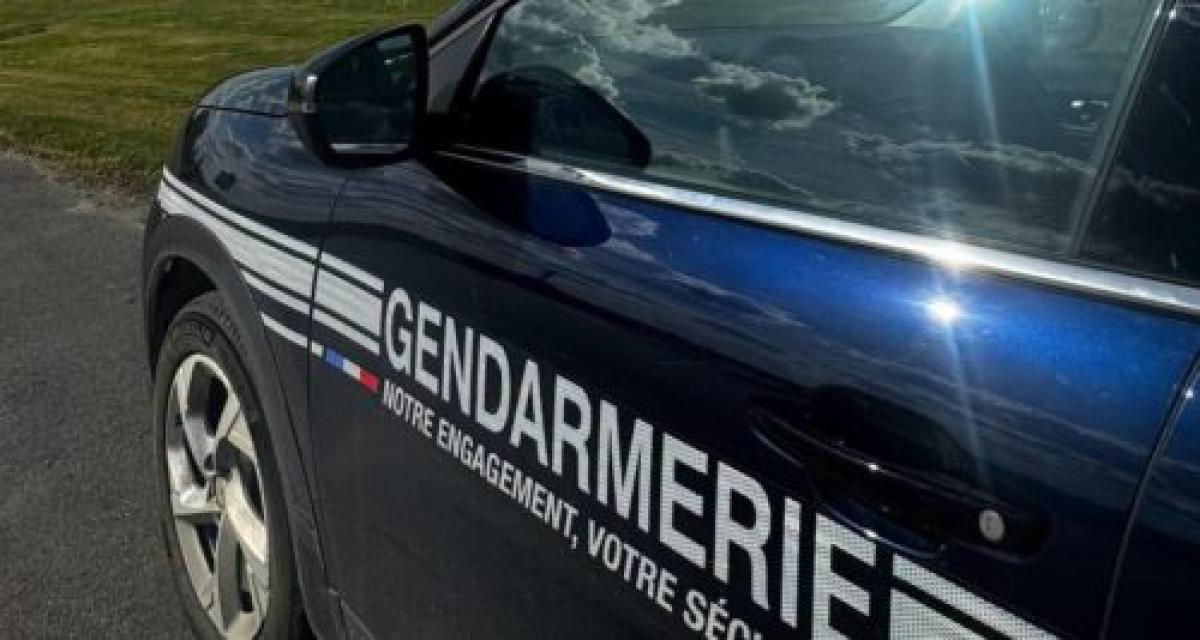 Contrôlé positif au volant, il pensait s'en tirer : les gendarmes découvrent 3 kg de cannabis et 5 plants chez lui